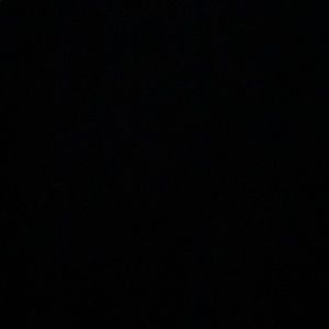 Meet your Posher, Trevor